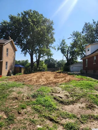 a view of backyard with green space