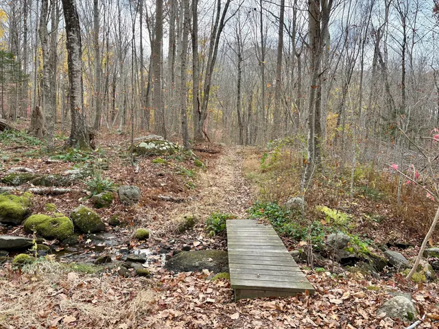 a view of a pathway with a yard