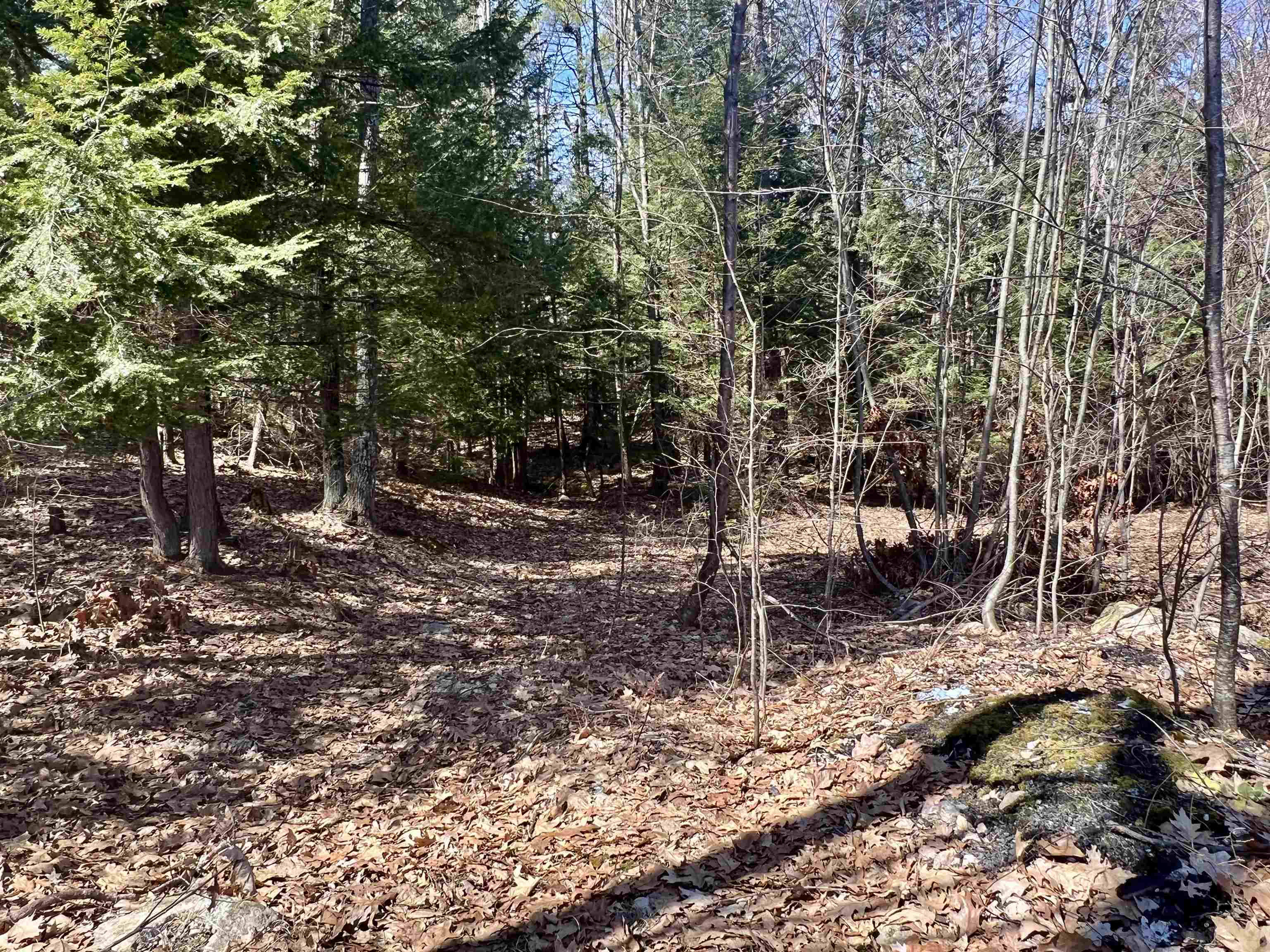 36 Morse Road Dunbarton, NH 03046 - Photo 21 of 30