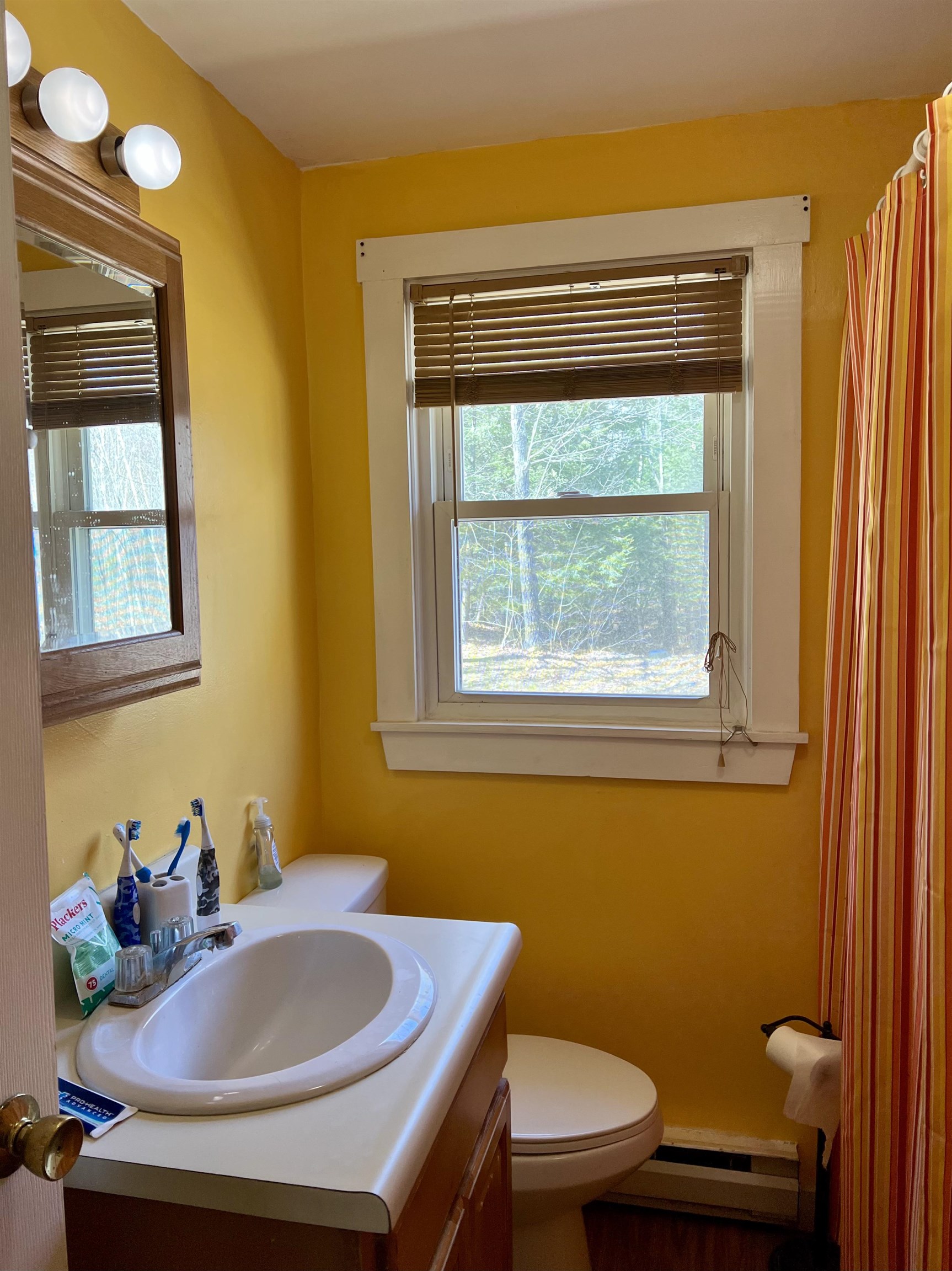 36 Morse Road Dunbarton, NH 03046 - Photo 28 of 30