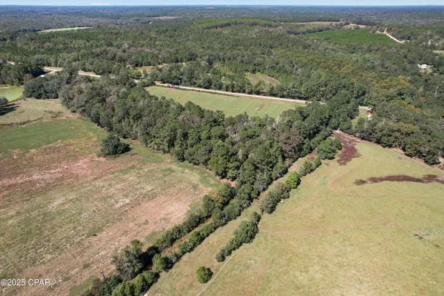 $85,000 | 0 Hwy 160 Highway, Westville, FL 32464