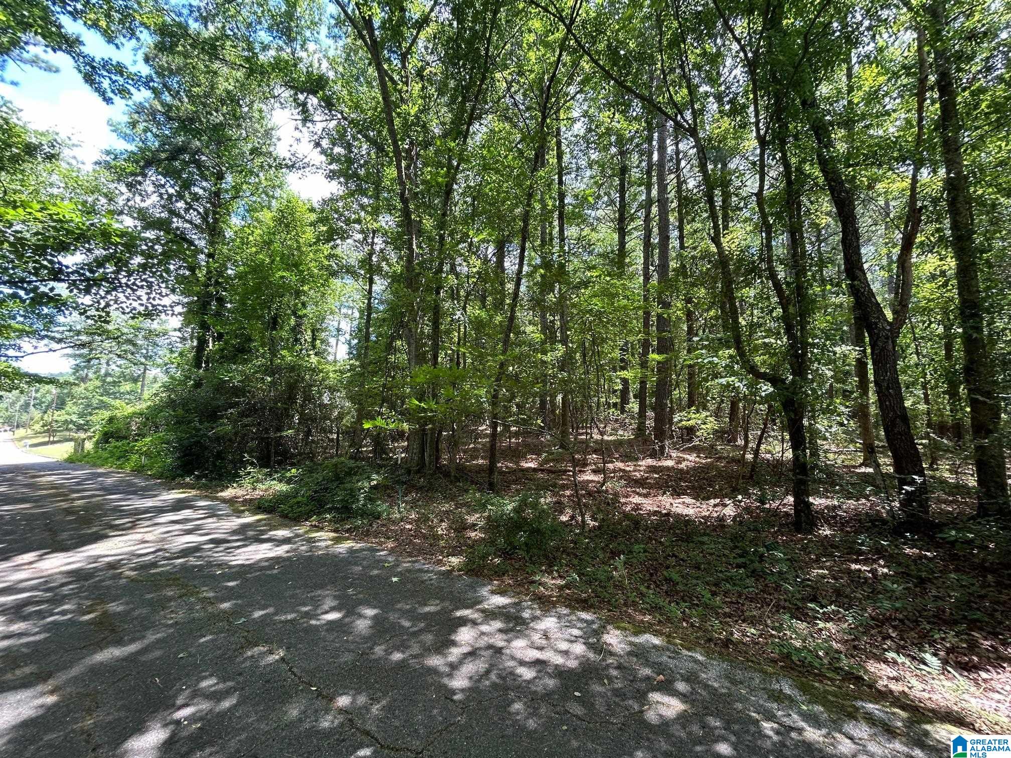 410 Rocky Ridge Road Northeast Jacksonville, AL 36265 - Photo 37 of 41