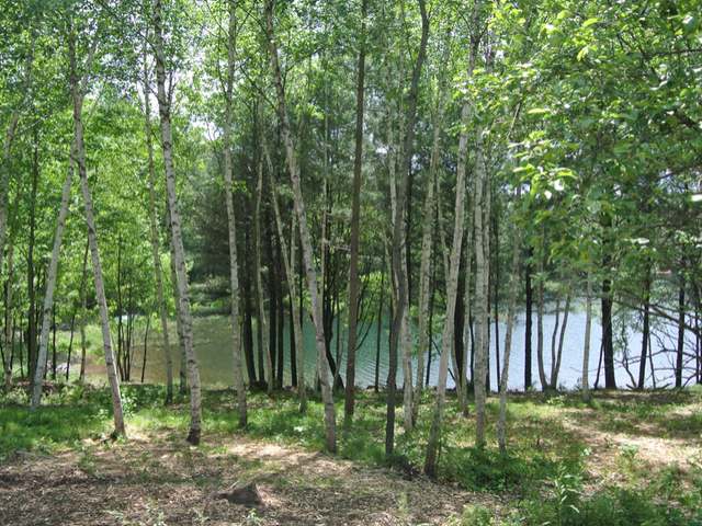 8049 Heron Road Lake Tomahawk, WI 54539 - Photo 5 of 20 Gallery Image 5