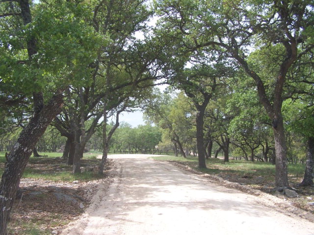 186 Dally Road, Unit 3 Comfort, TX 78013 - Photo 1 of 1 Main View