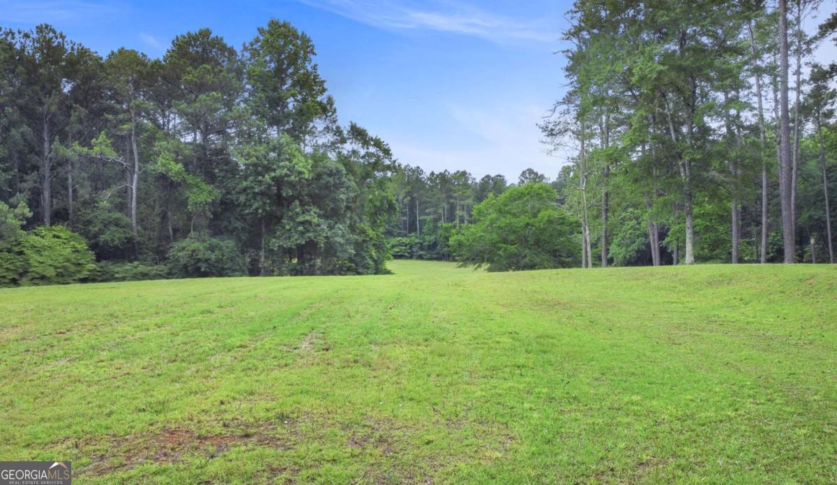 0 Hutchesons Ferry Road Palmetto, GA 30268 - Photo 18 of 27