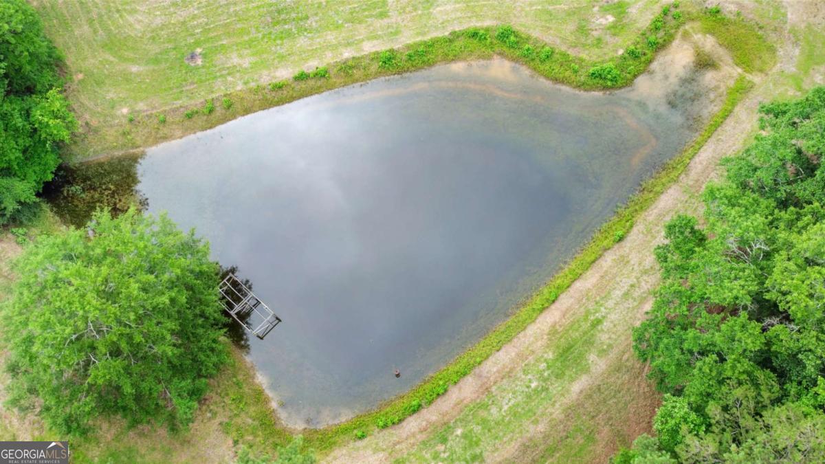 0 Hutchesons Ferry Road Palmetto, GA 30268 - Photo 19 of 27