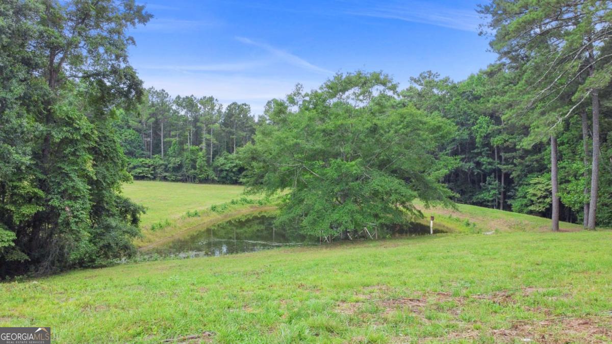 0 Hutchesons Ferry Road Palmetto, GA 30268 - Photo 20 of 27