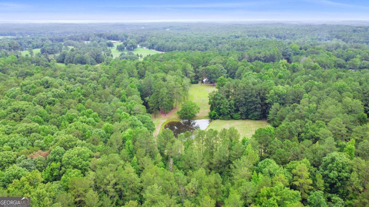0 Hutchesons Ferry Road Palmetto, GA 30268 - Photo 26 of 27
