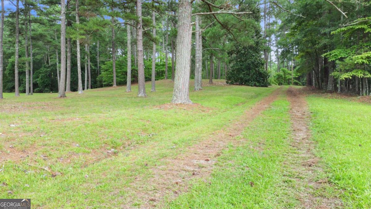 0 Hutchesons Ferry Road Palmetto, GA 30268 - Photo 9 of 27
