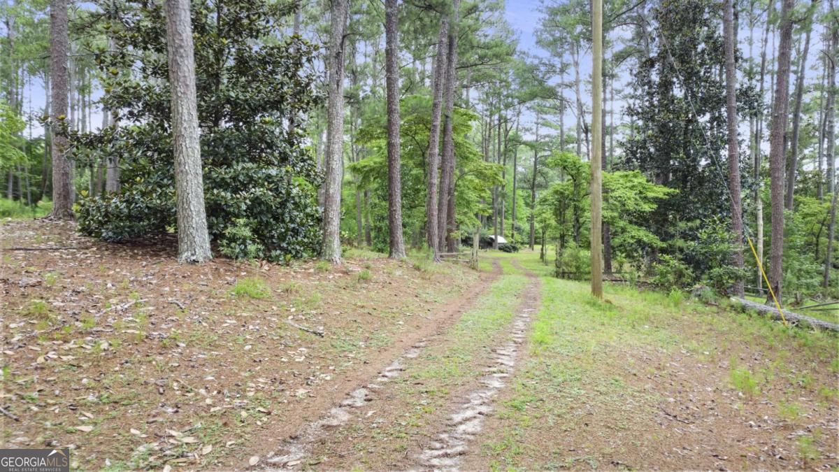 0 Hutchesons Ferry Road Palmetto, GA 30268 - Photo 10 of 27
