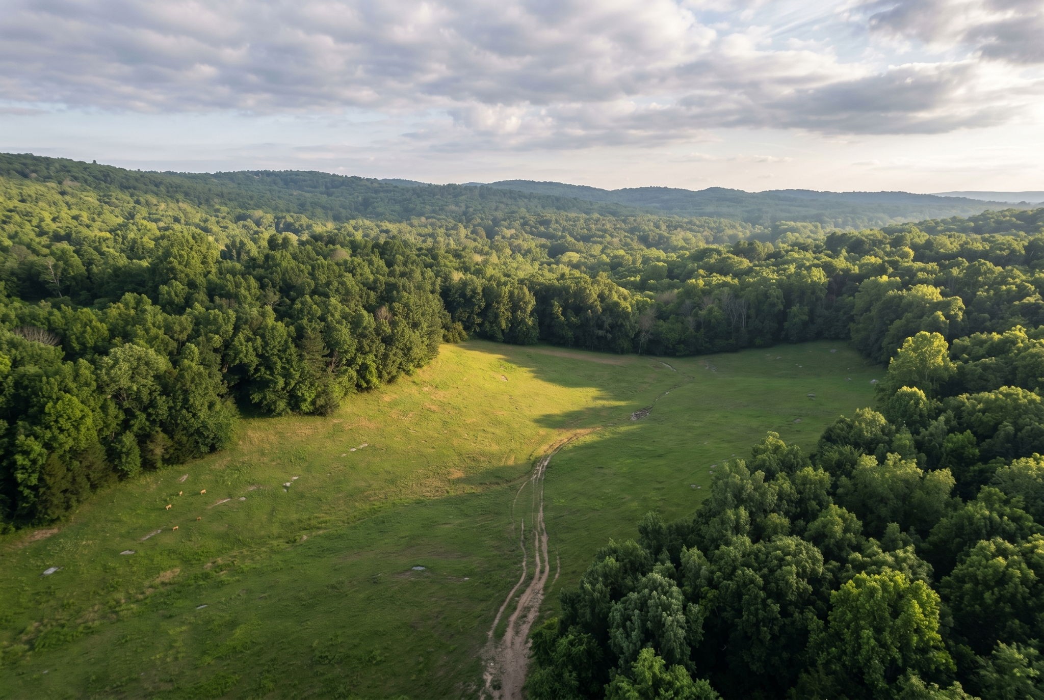 2909 B Beech Log Road Watertown, TN 37184 - Photo 63 of 67