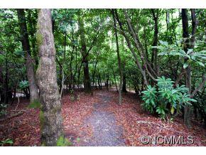 17 Kelly Mountain Road, Unit 17 Brevard, NC 28712 - Photo 7 of 21 Gallery Image 7