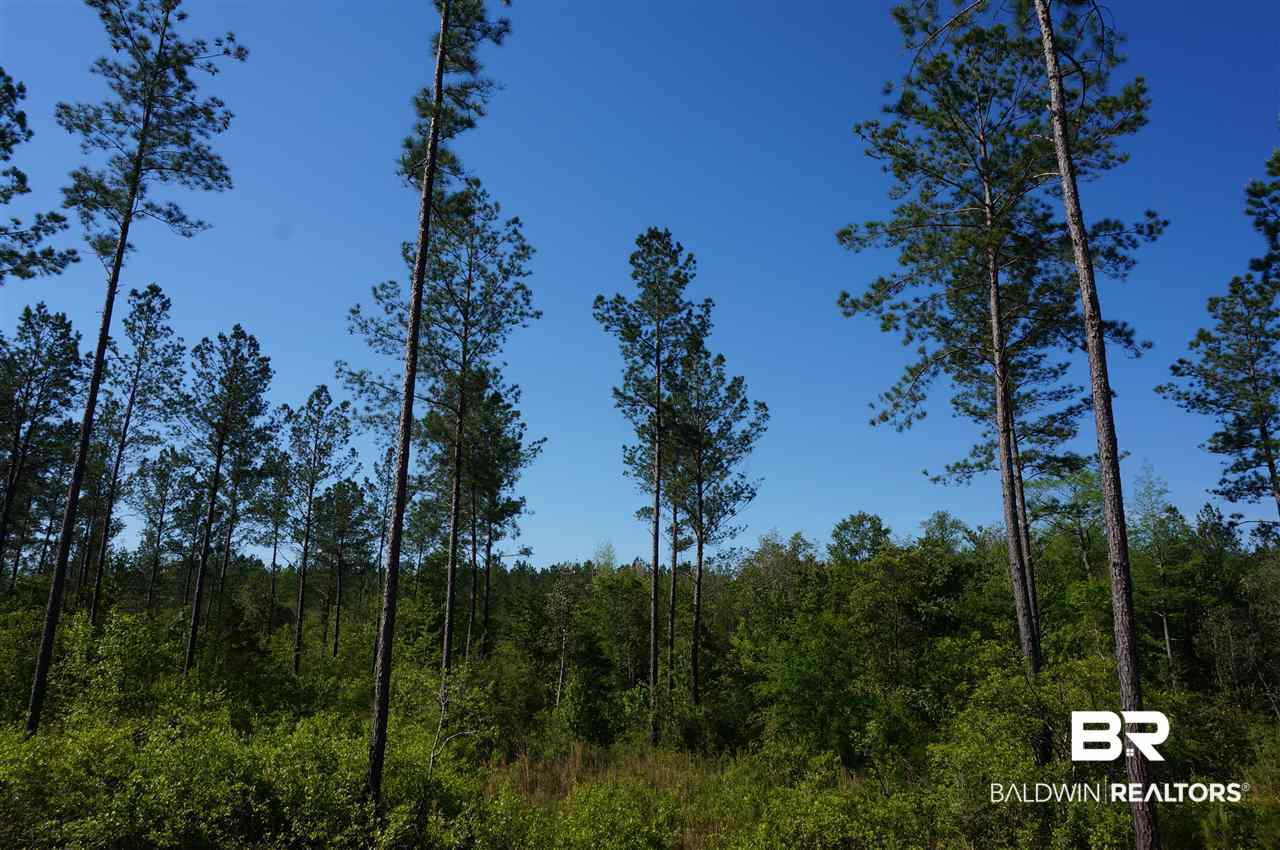 49989 Dyas Road Bay Minette, AL 36507 - Photo 30 of 33