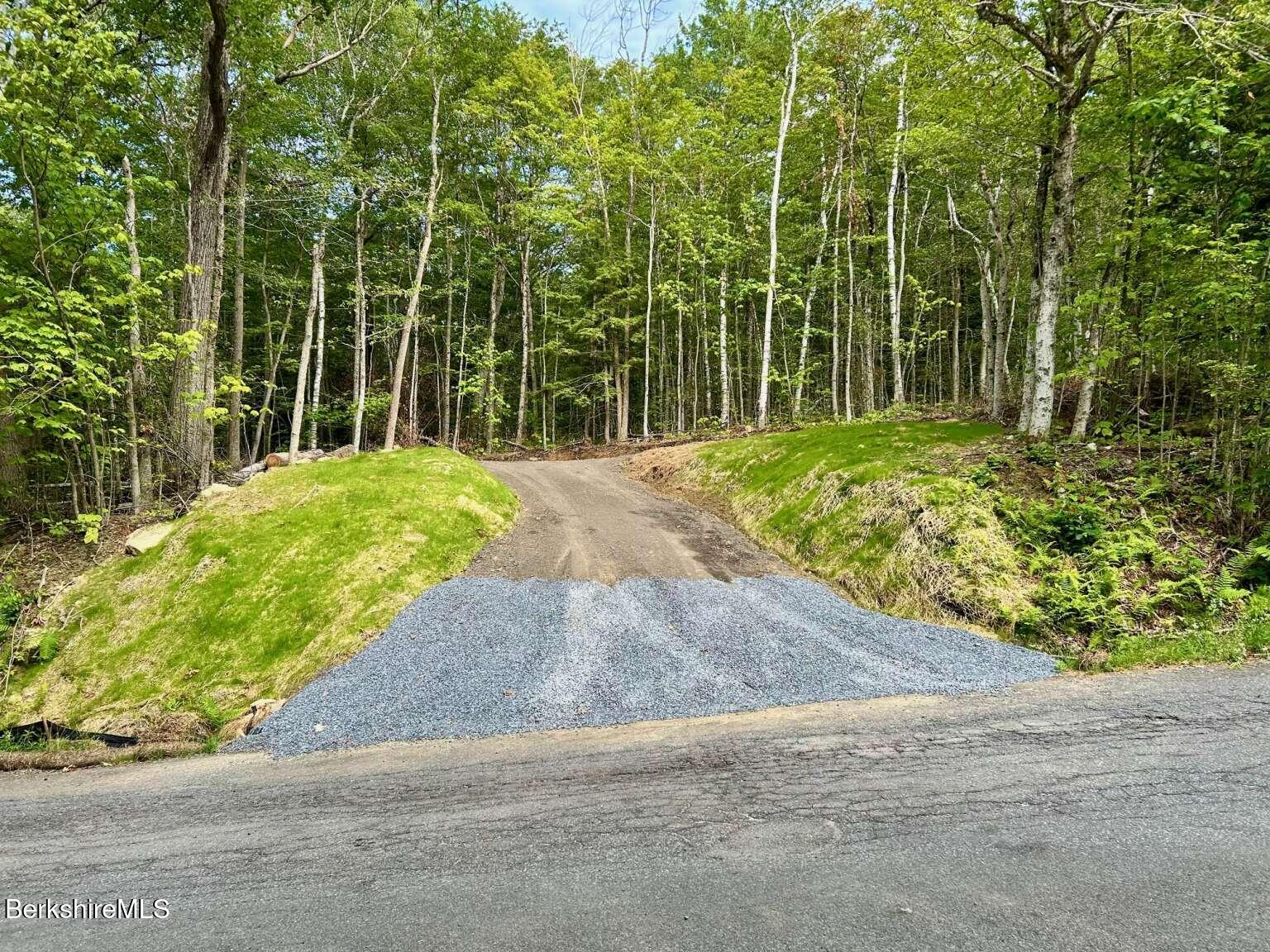 a view of a yard with plants and large trees