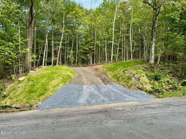 a view of a yard with plants and large trees