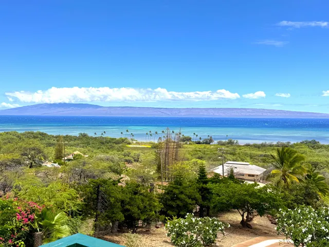 a view of a city with an ocean