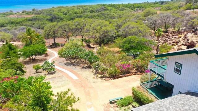 a view of a yard with plants