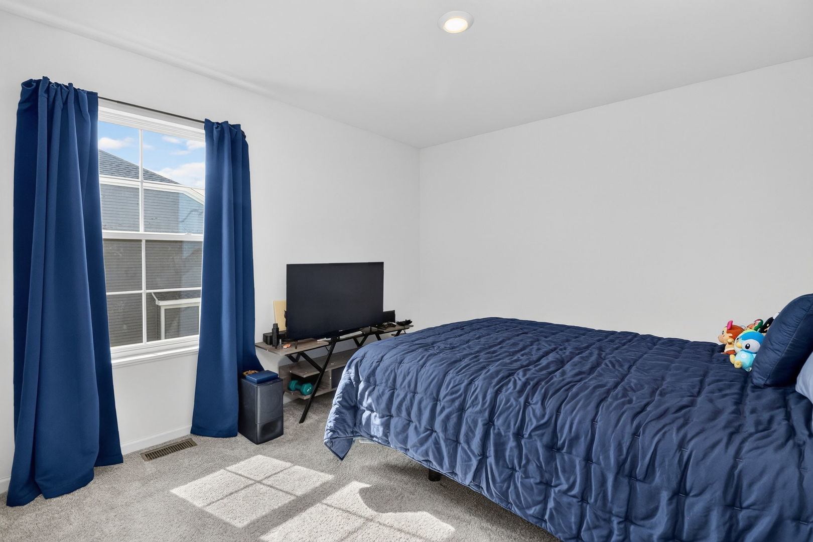 16156 Lake View Road Plainfield, IL 60586 - Photo 19 of 31 Gallery Image 19