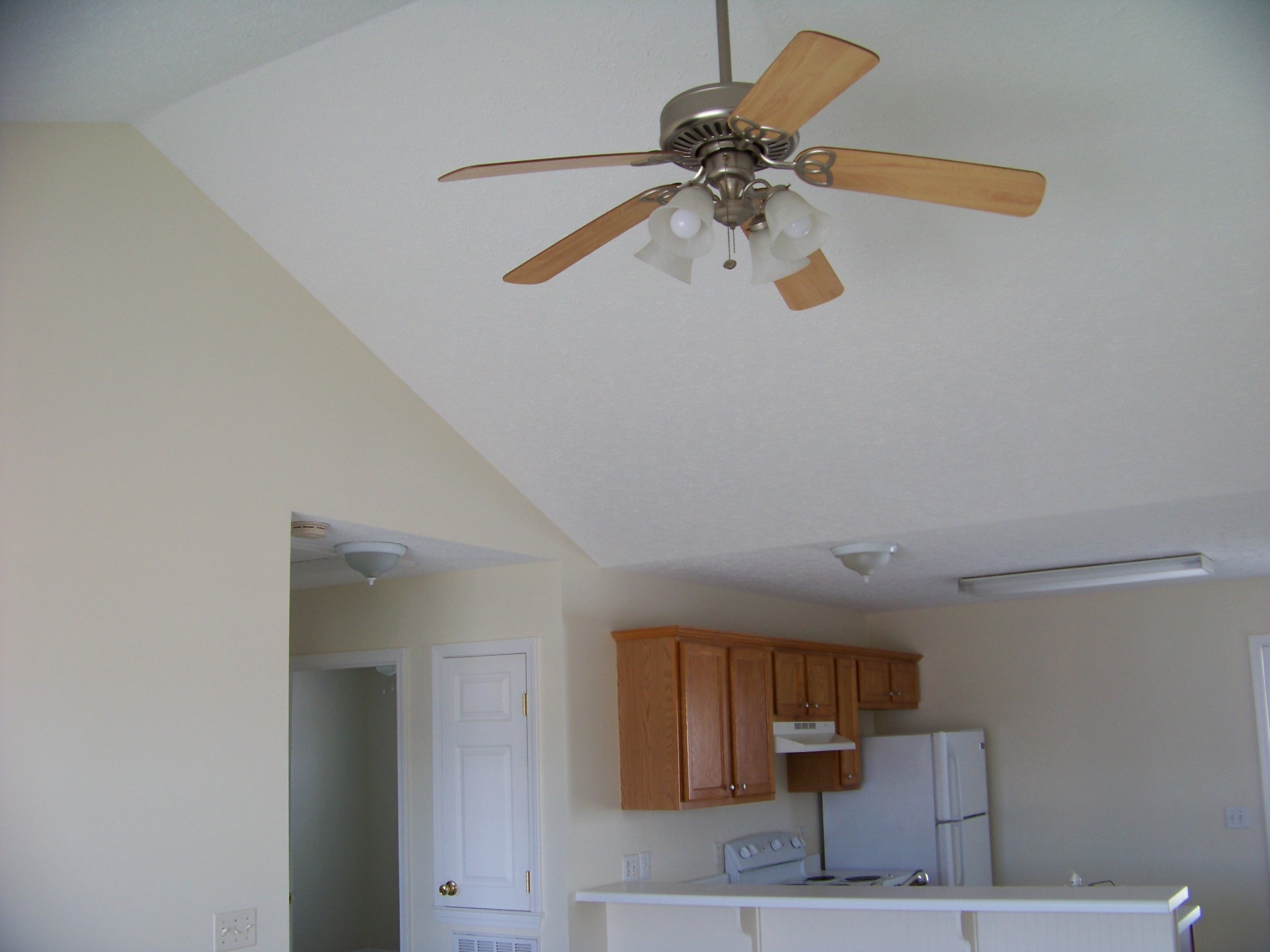 311 Reid Road Springfield, TN 37172 - Photo 5 of 16 a view of kitchen with a refrigerator cabinets and a ceiling fan