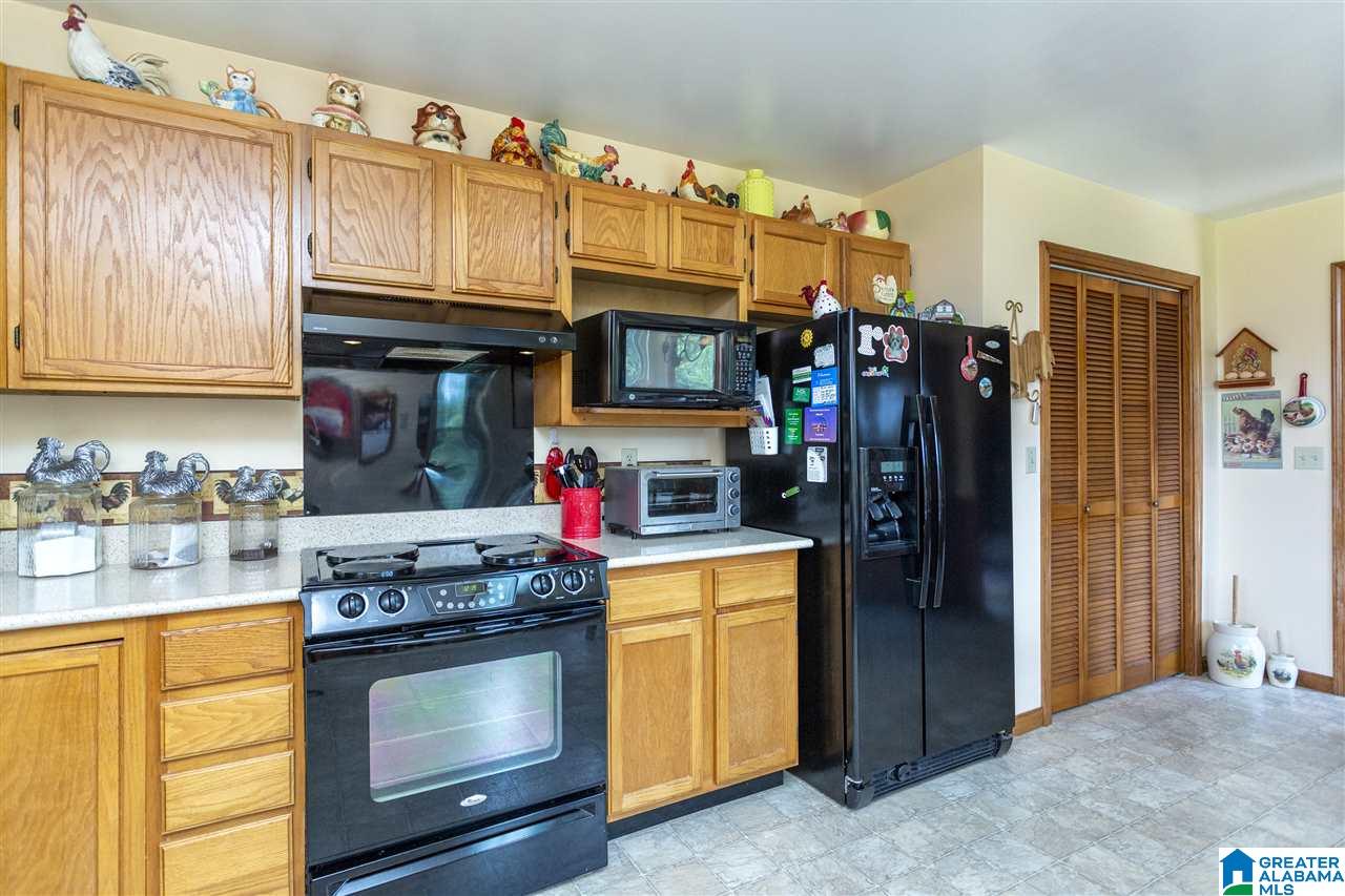 14183 Milldale Road Brookwood, AL 35444 - Photo 13 of 47