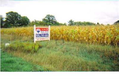 Primary Photo