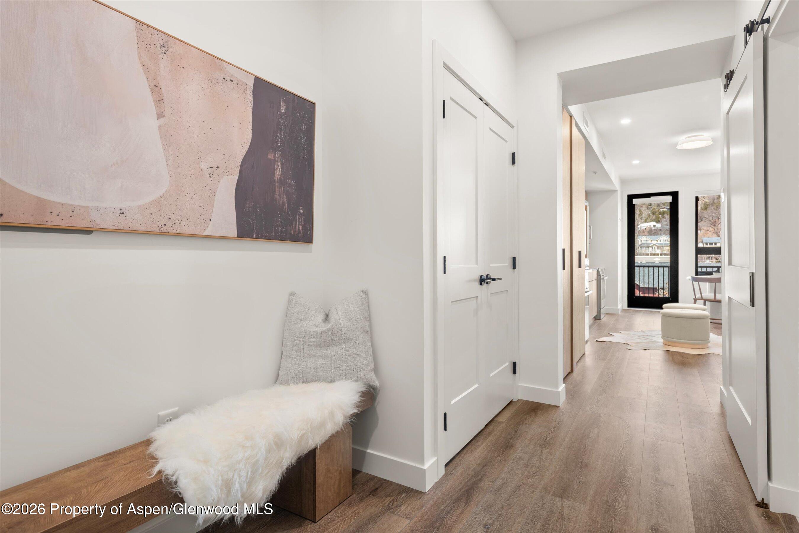 140 Basalt Center Circle, Unit 235 Basalt, CO 81621 - Photo 5 of 25 Studio Entry