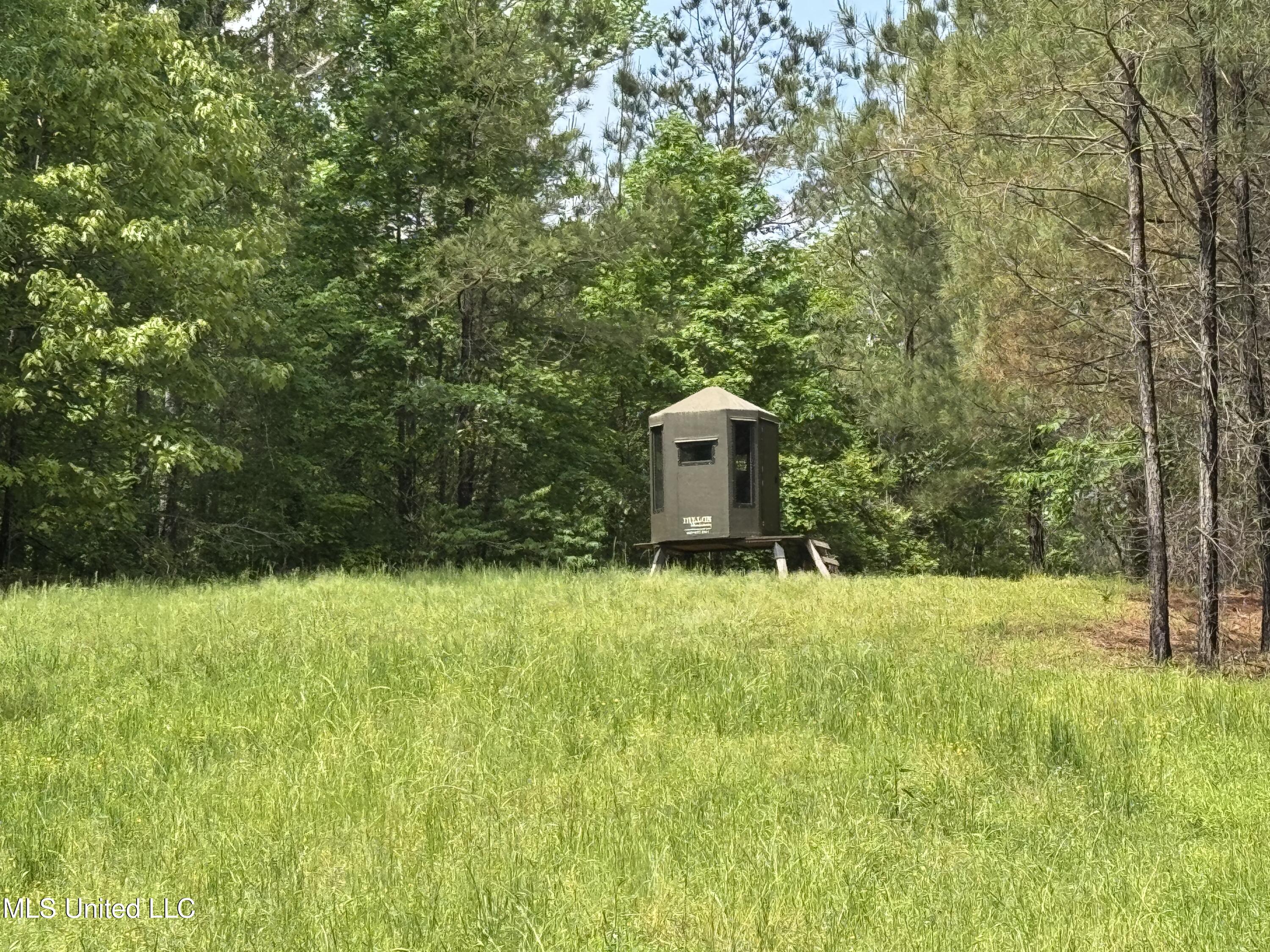 2048 Ashley Road Hazlehurst, MS 39083 - Photo 1 of 67 Main Photo
