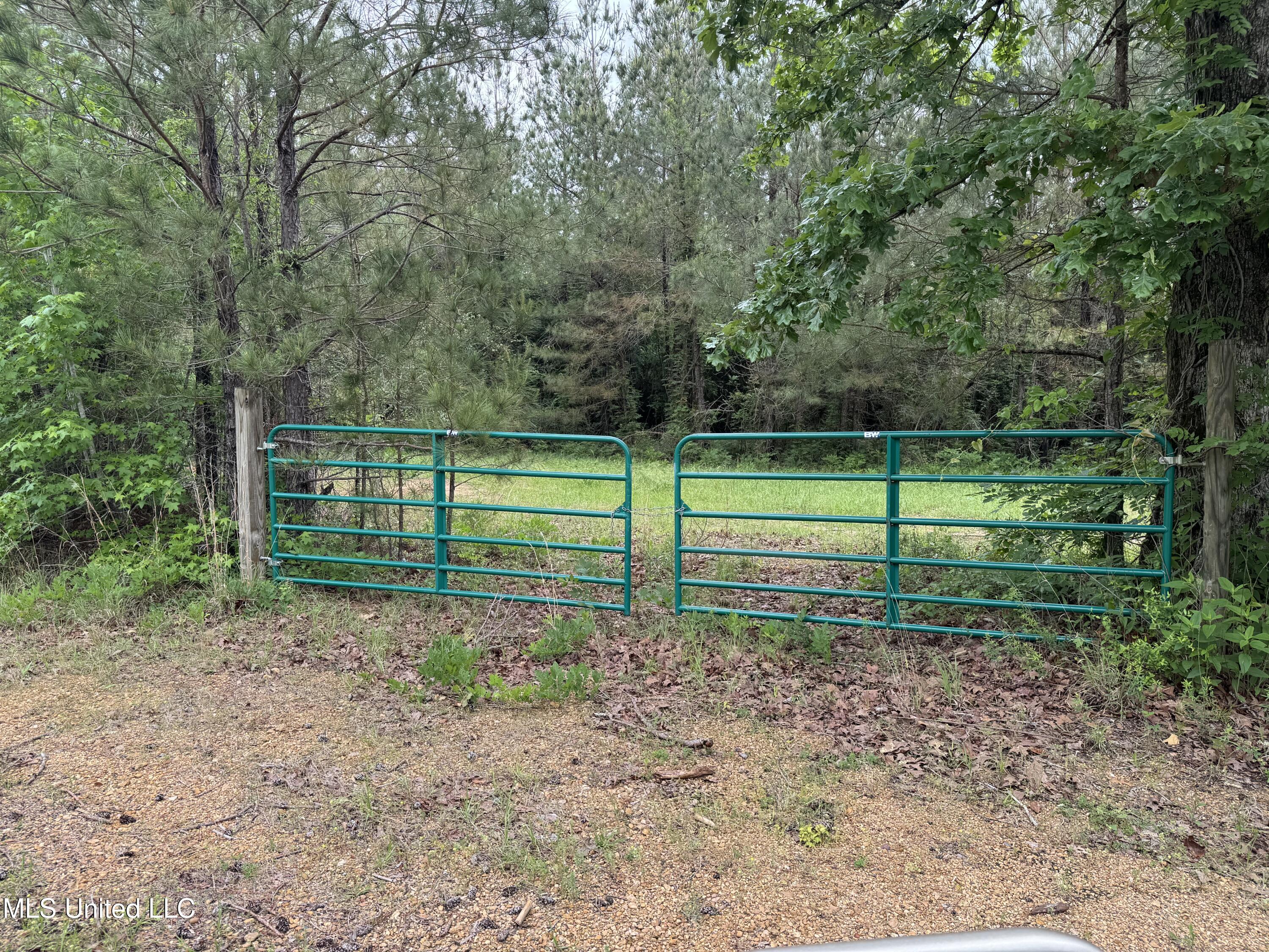 2048 Ashley Road Hazlehurst, MS 39083 - Photo 19 of 67 Photo Apr 23 2025, 10 59 11 (1)