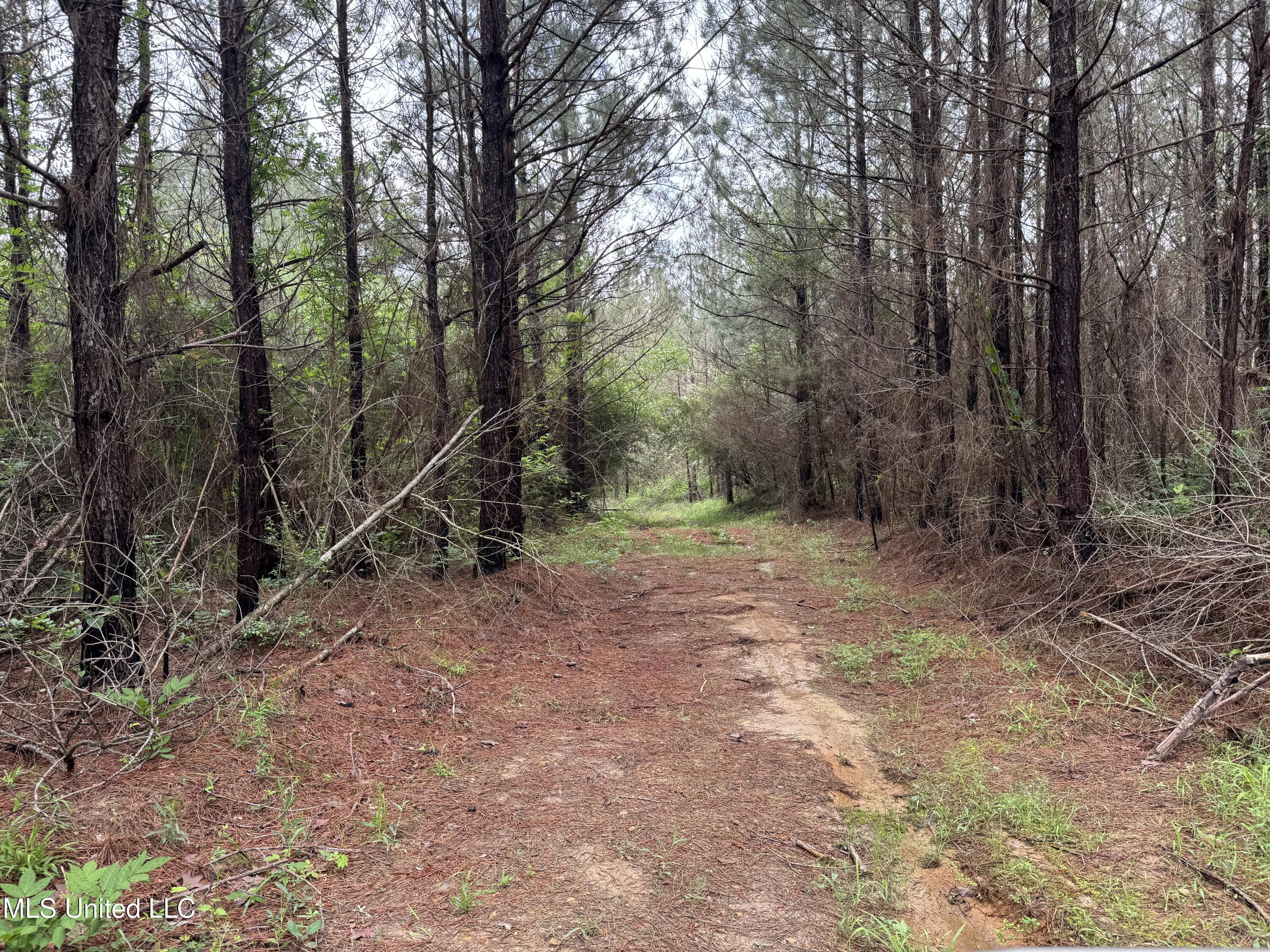2048 Ashley Road Hazlehurst, MS 39083 - Photo 21 of 67 Photo Apr 23 2025, 11 01 49
