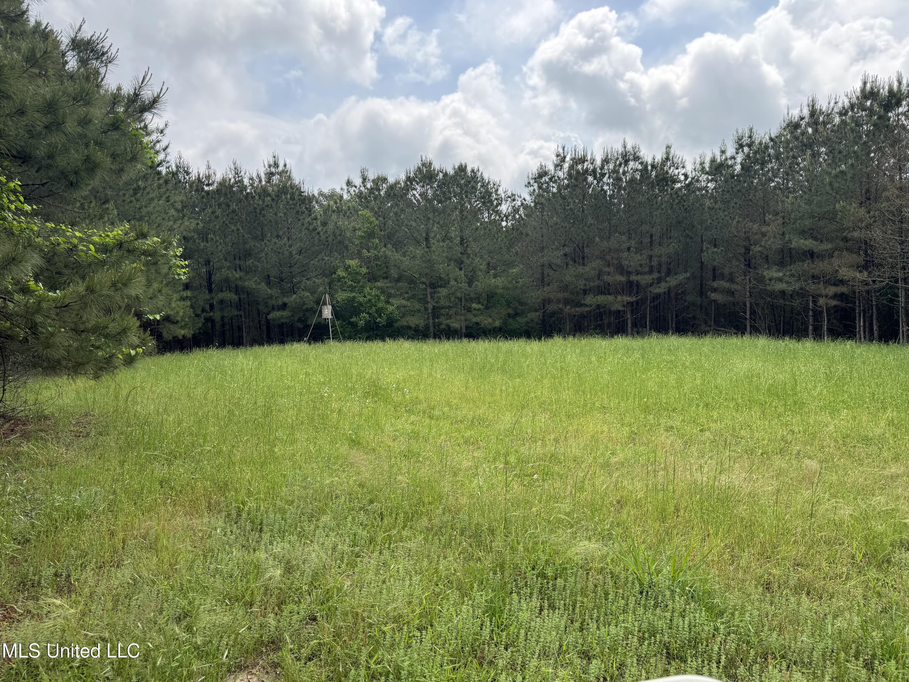 2048 Ashley Road Hazlehurst, MS 39083 - Photo 23 of 67 Photo Apr 23 2025, 11 03 53
