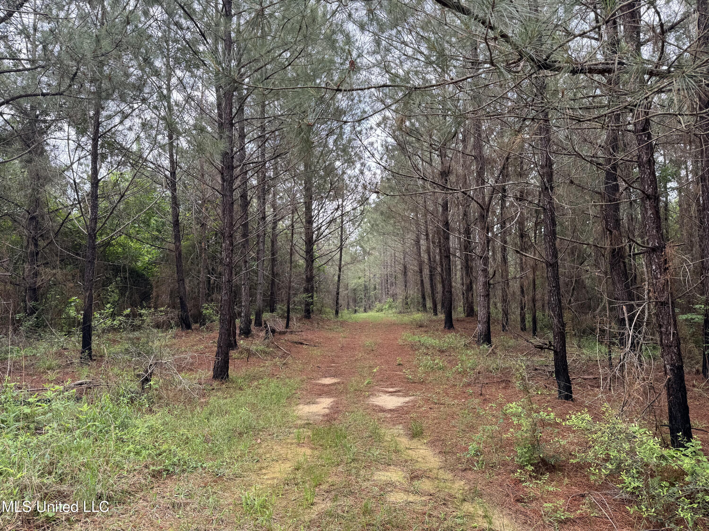 2048 Ashley Road Hazlehurst, MS 39083 - Photo 25 of 67 Photo Apr 23 2025, 11 06 04