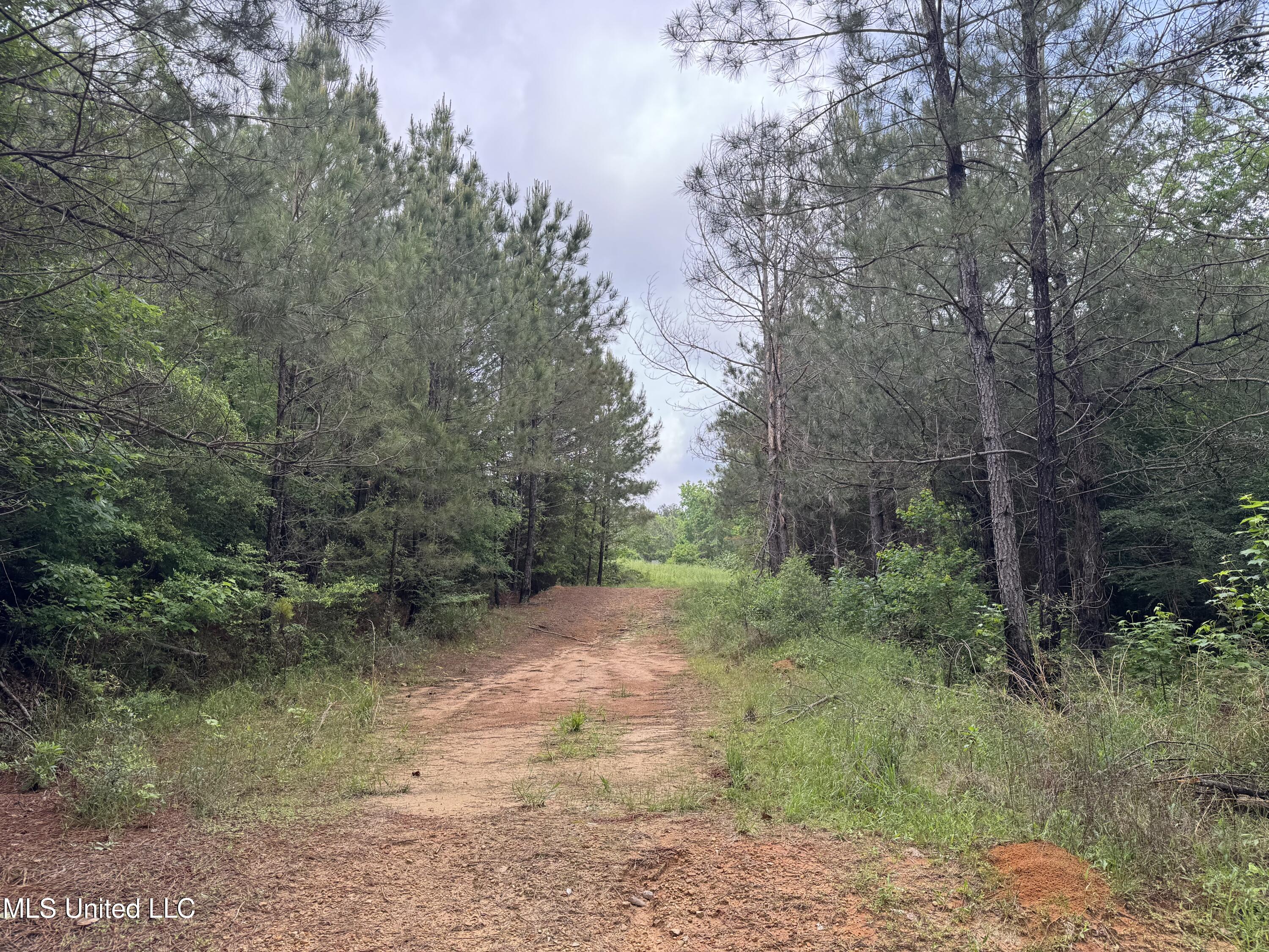 2048 Ashley Road Hazlehurst, MS 39083 - Photo 26 of 67 Photo Apr 23 2025, 11 06 06