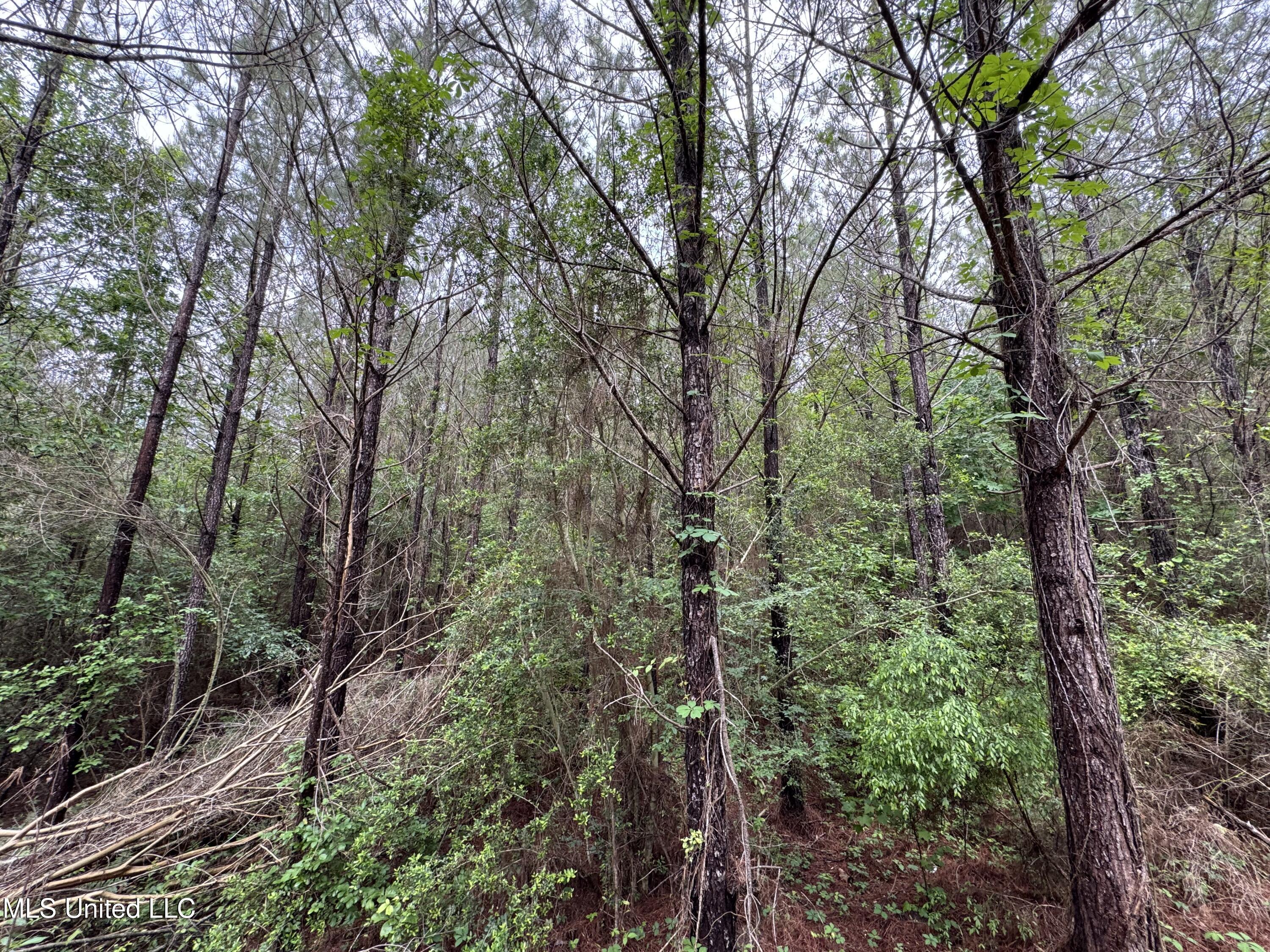 2048 Ashley Road Hazlehurst, MS 39083 - Photo 29 of 67 Photo Apr 23 2025, 11 08 00