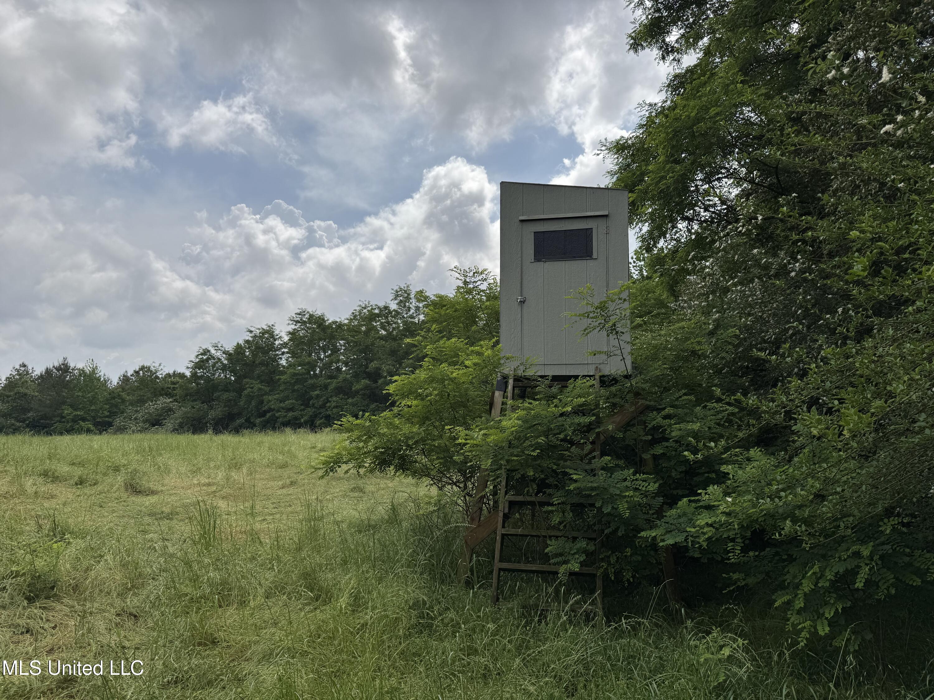 2048 Ashley Road Hazlehurst, MS 39083 - Photo 31 of 67 Photo Apr 23 2025, 11 09 40