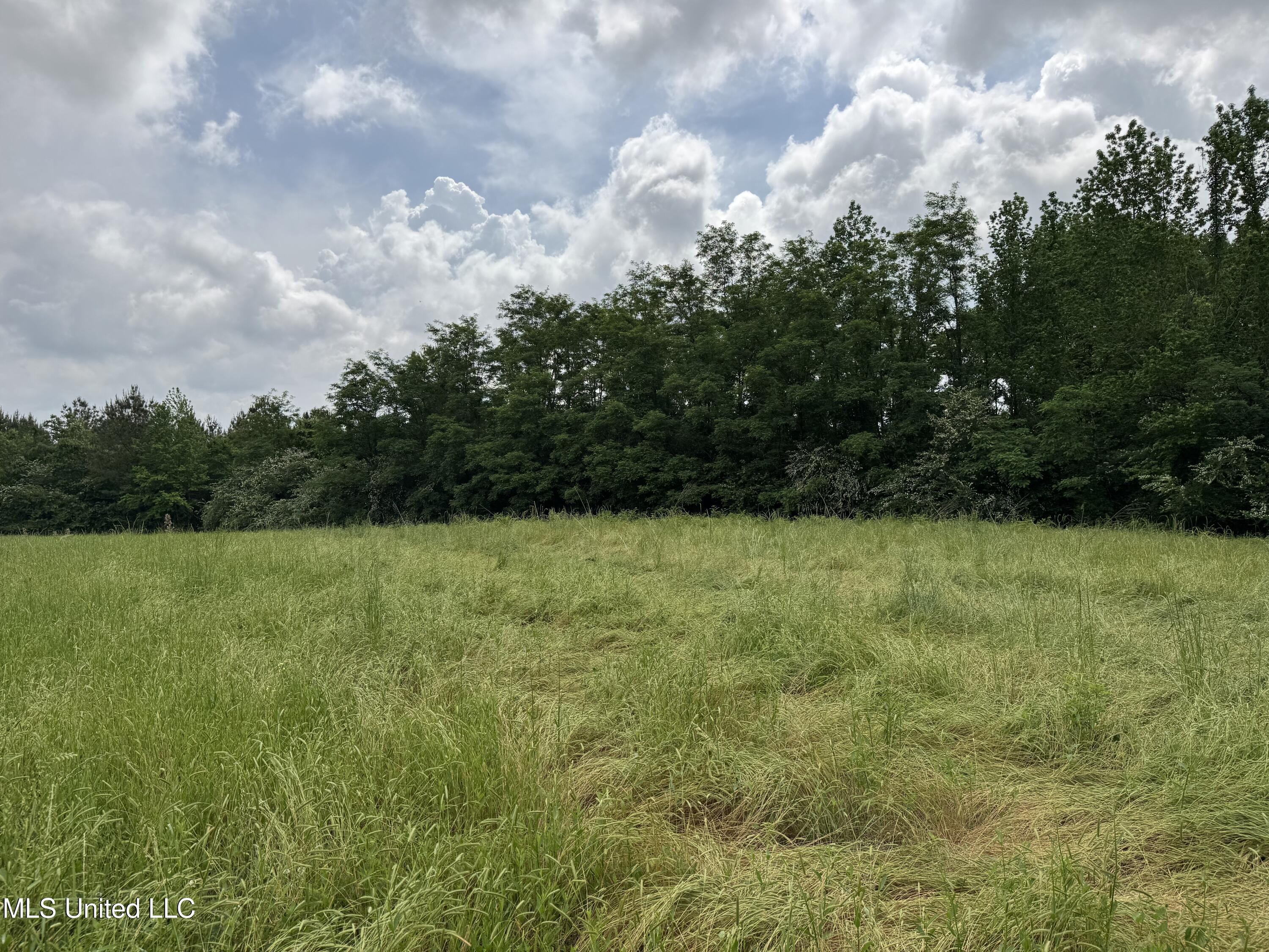2048 Ashley Road Hazlehurst, MS 39083 - Photo 34 of 67 Photo Apr 23 2025, 11 10 10