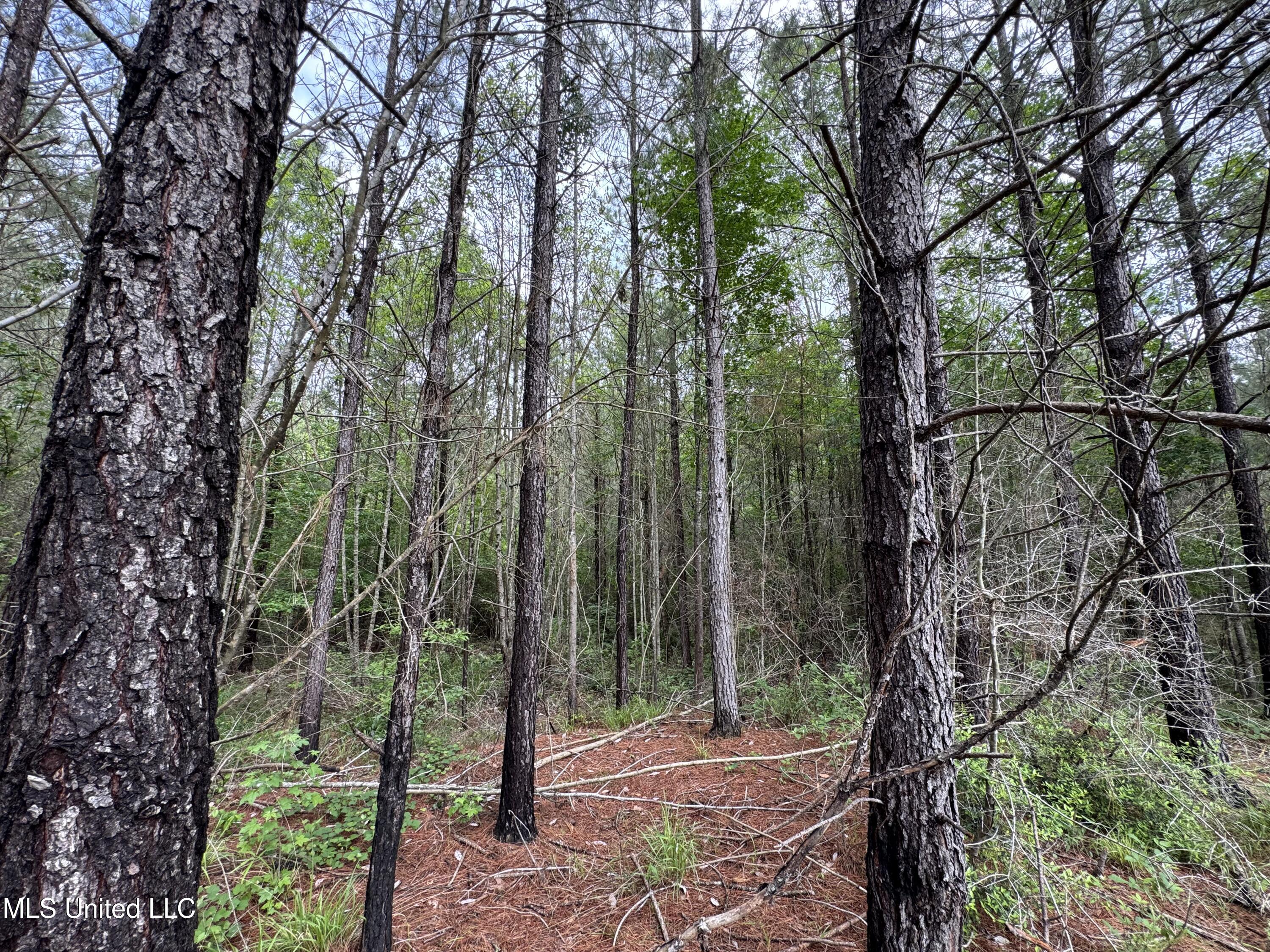 2048 Ashley Road Hazlehurst, MS 39083 - Photo 36 of 67 Photo Apr 23 2025, 11 13 59