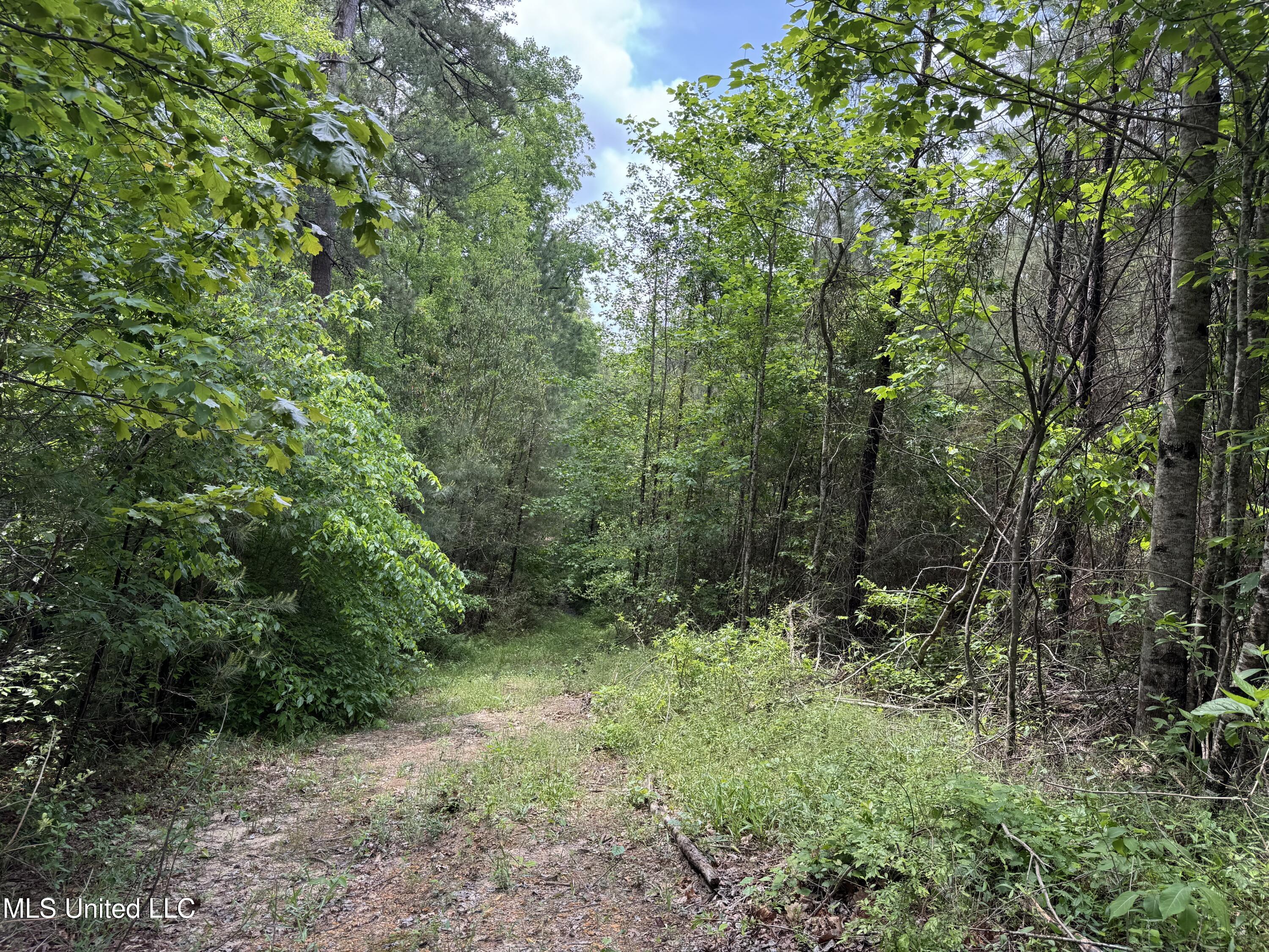 2048 Ashley Road Hazlehurst, MS 39083 - Photo 50 of 67 Photo Apr 23 2025, 11 39 00