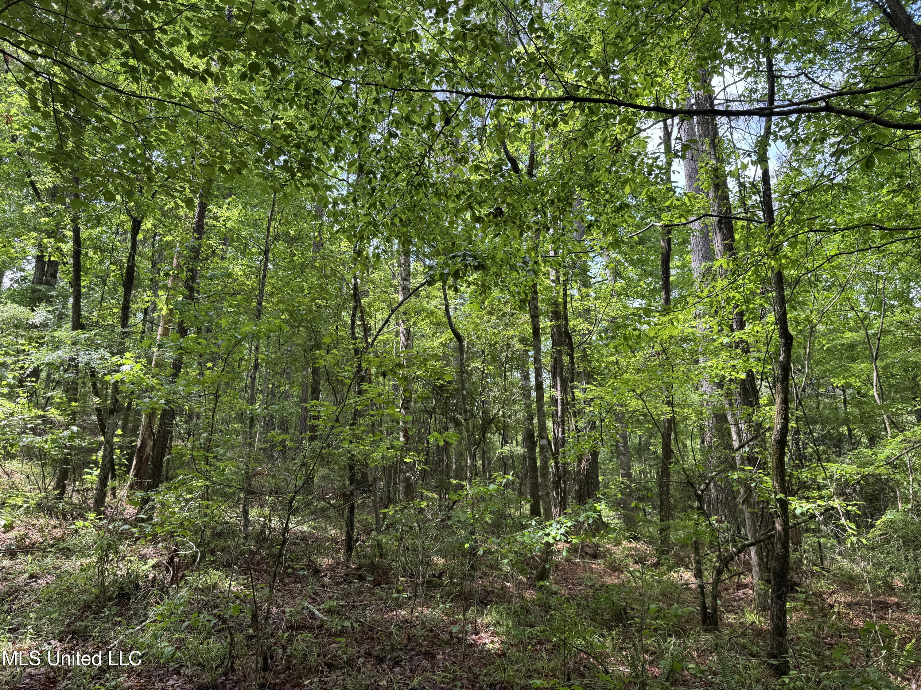 2048 Ashley Road Hazlehurst, MS 39083 - Photo 52 of 67 Photo Apr 23 2025, 11 40 34