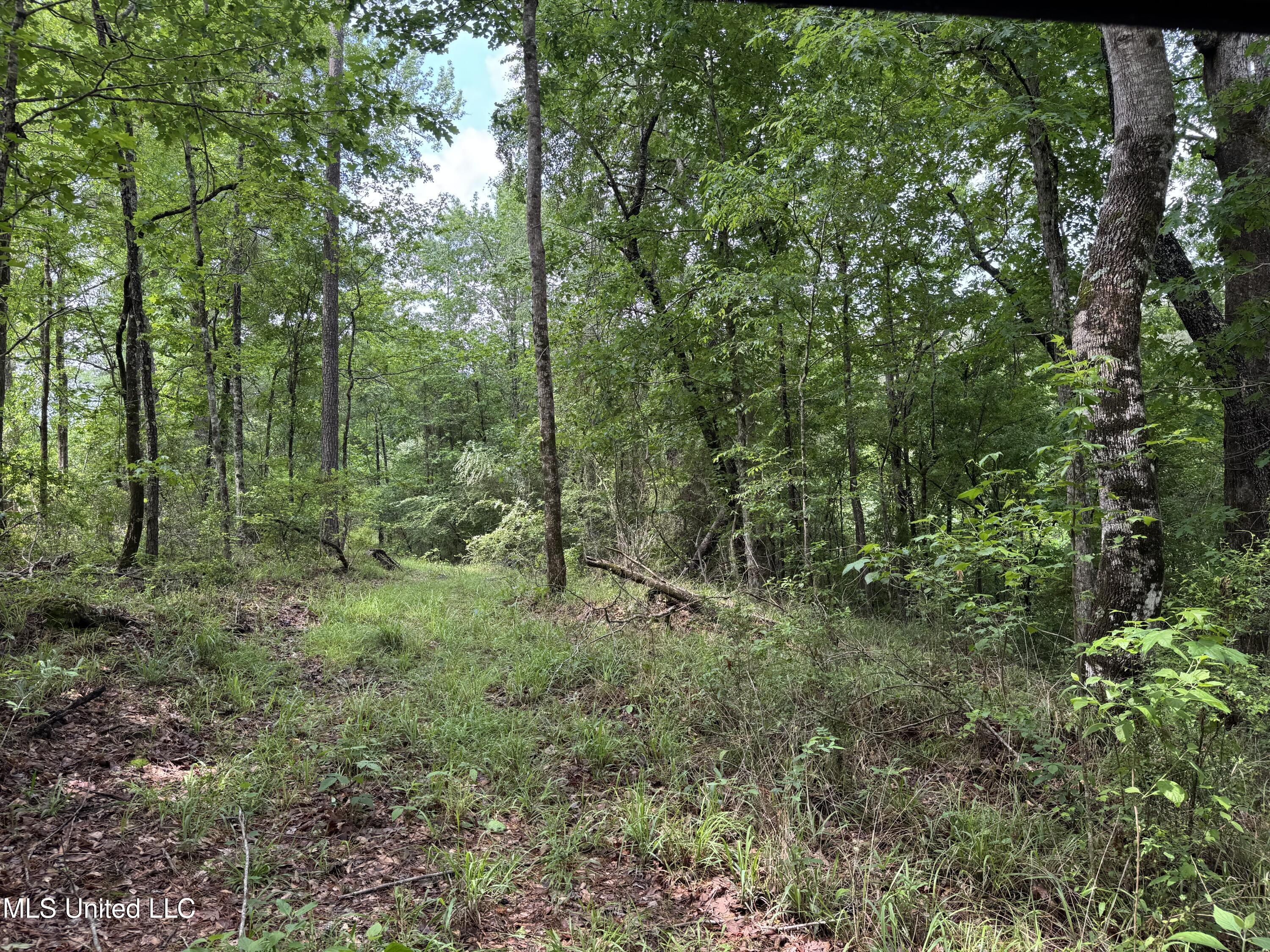 2048 Ashley Road Hazlehurst, MS 39083 - Photo 55 of 67 Photo Apr 23 2025, 11 41 46