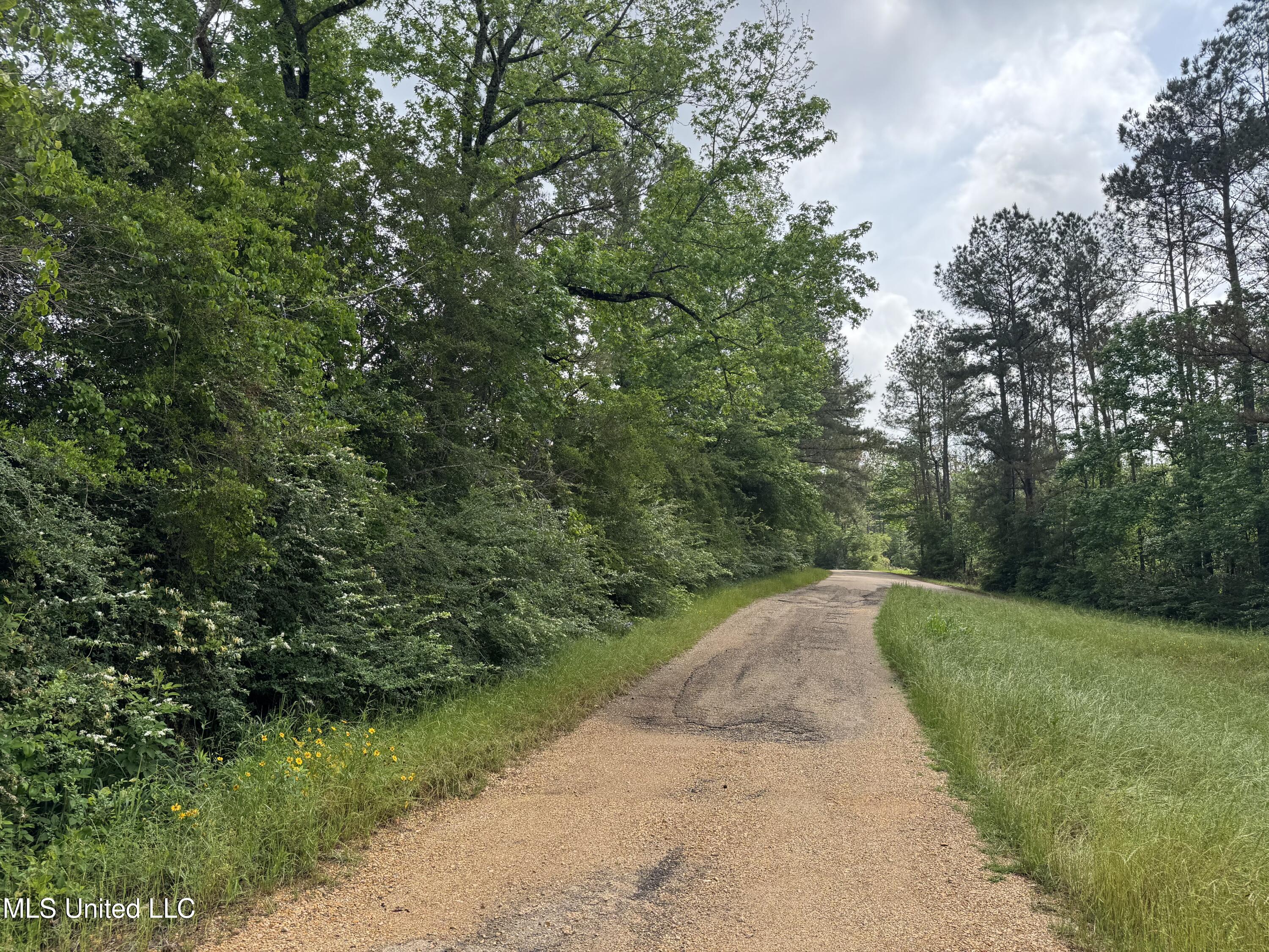 2048 Ashley Road Hazlehurst, MS 39083 - Photo 6 of 67 Photo Apr 23 2025, 10 44 30