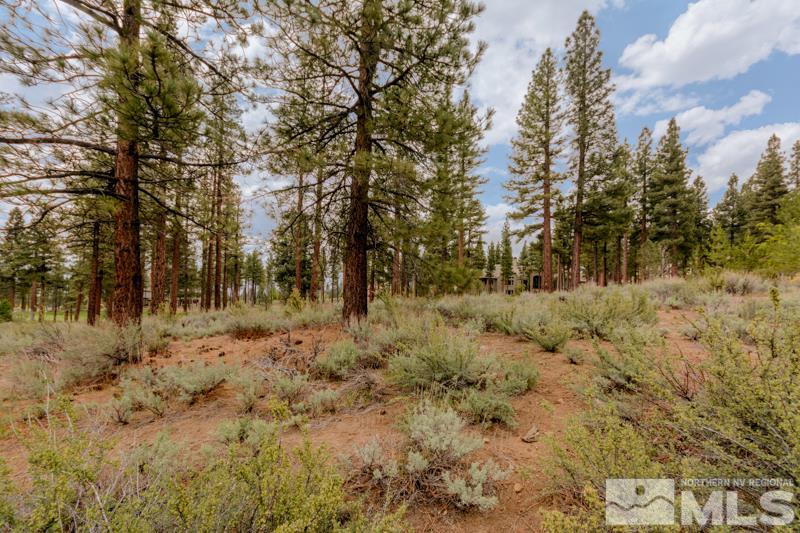 0 Chambery Circle Reno, NV 89511 - Photo 1 of 1 a view of covered with trees