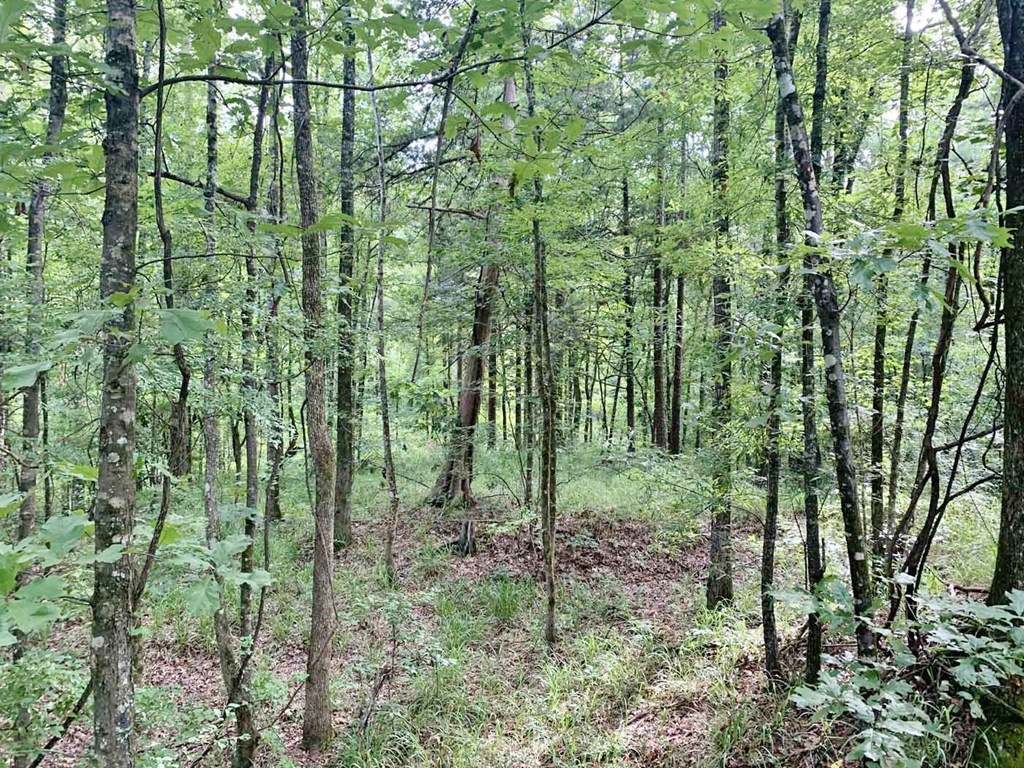 3000 Stonington Road Lorman, MS 39096 - Photo 27 of 38 Photo 27