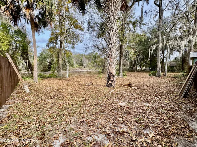 a view of a yard with a tree