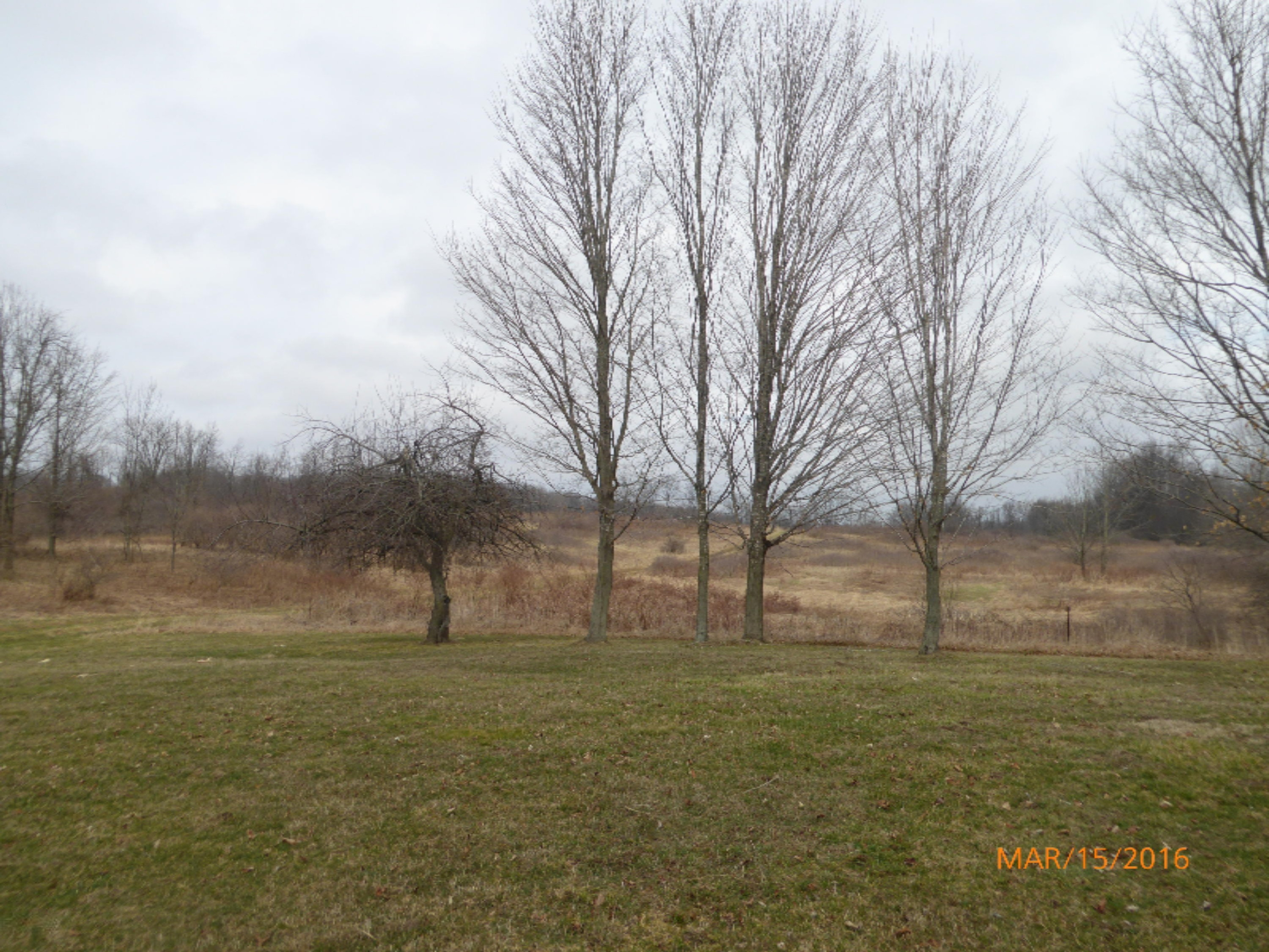 6121 East Butler Road Dowling, MI 49050 - Photo 19 of 41 157