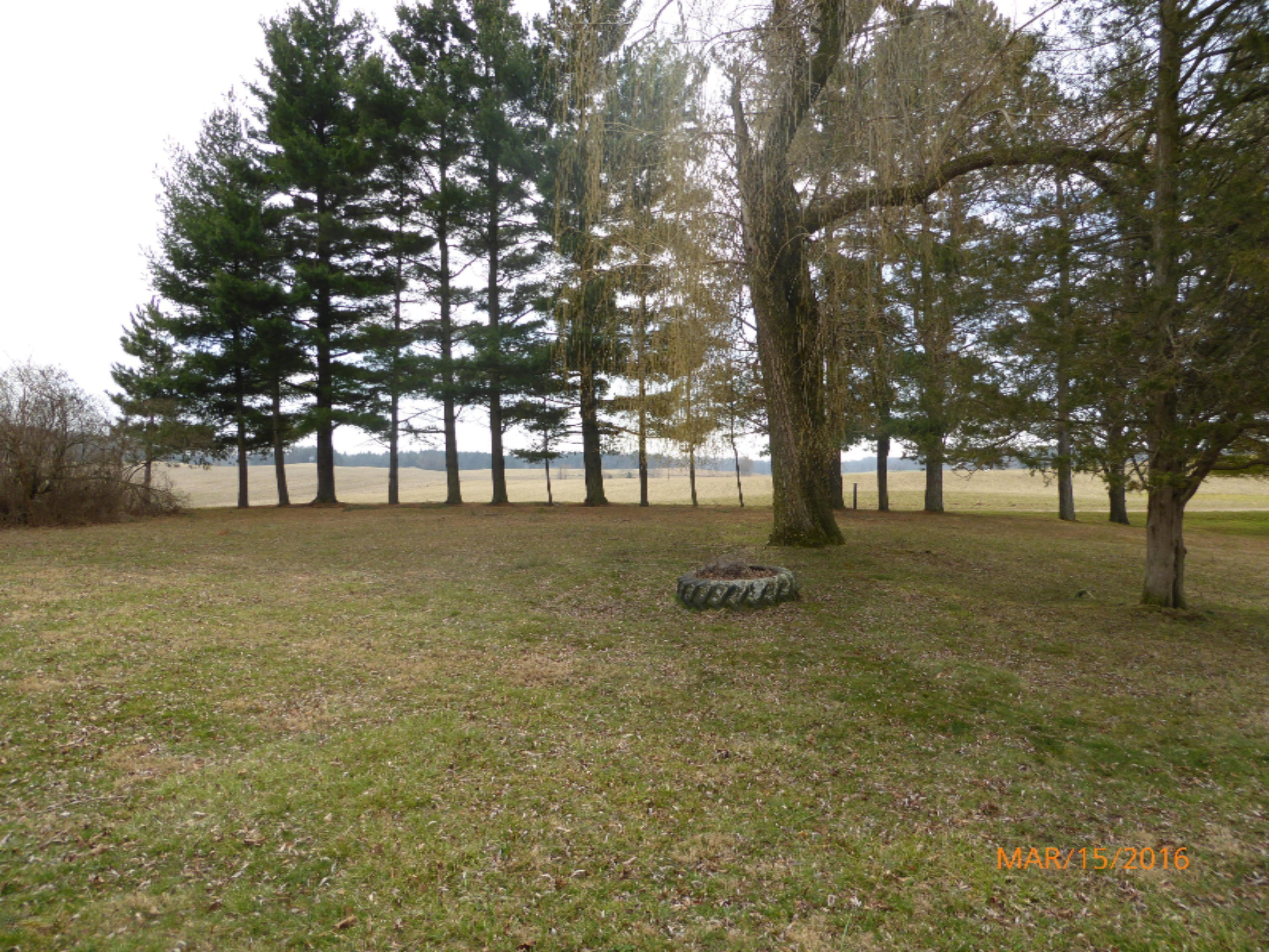 6121 East Butler Road Dowling, MI 49050 - Photo 6 of 41 149