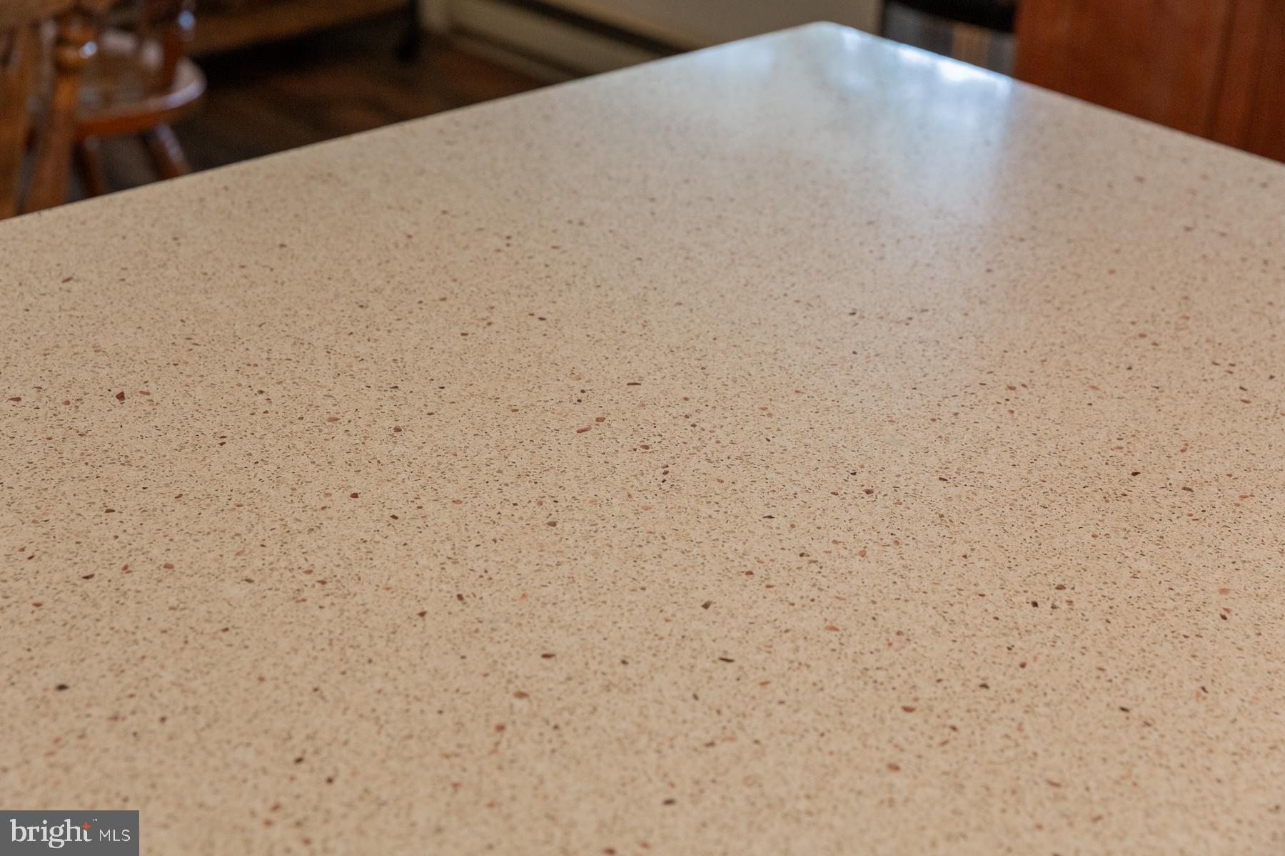 45 Plum Street Lititz, PA 17543 - Photo 44 of 80