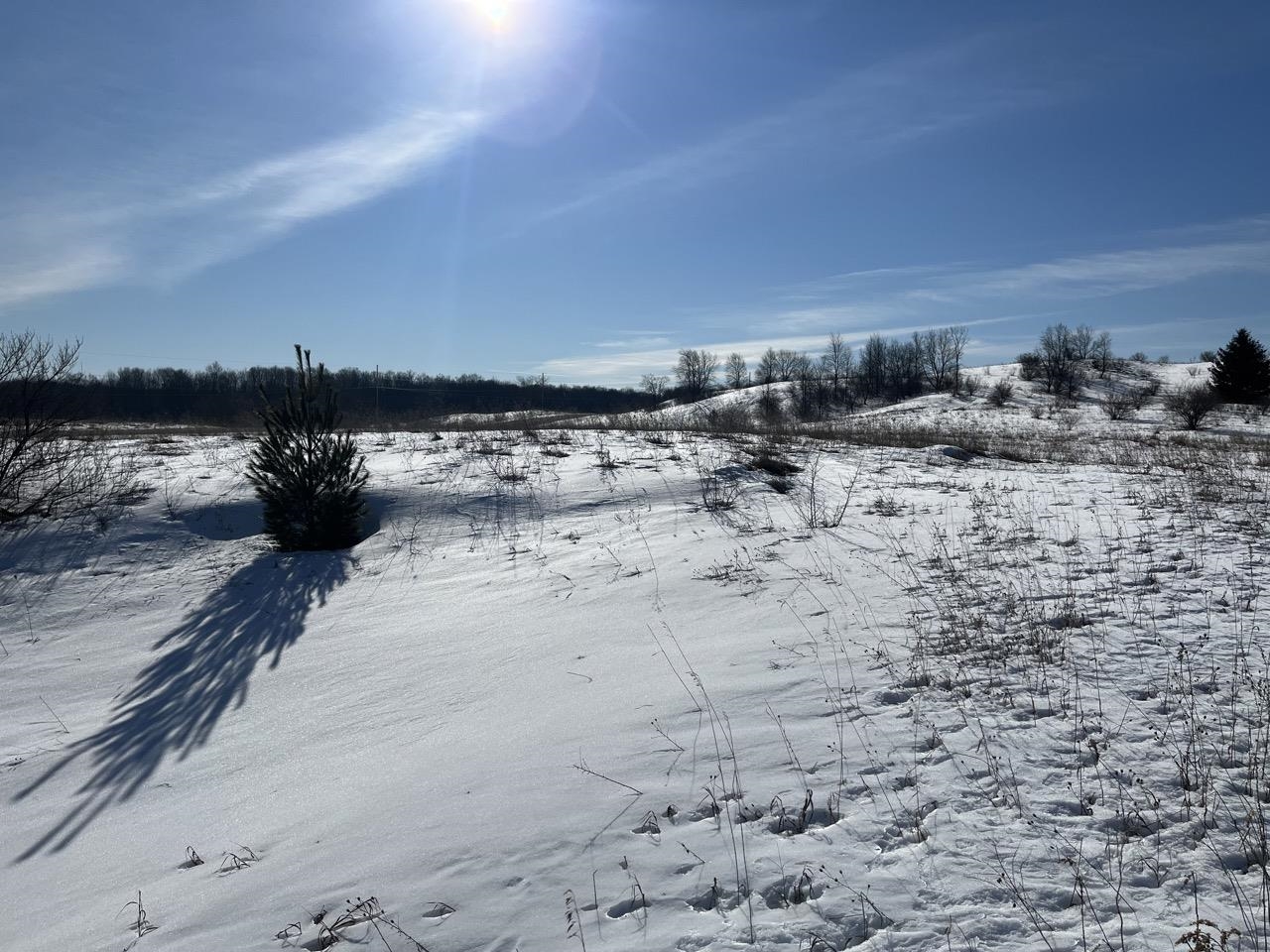 Parcel O Florey's Ranch Road, Unit LOT: O Grawn, MI 49637 - Photo 8 of 11
