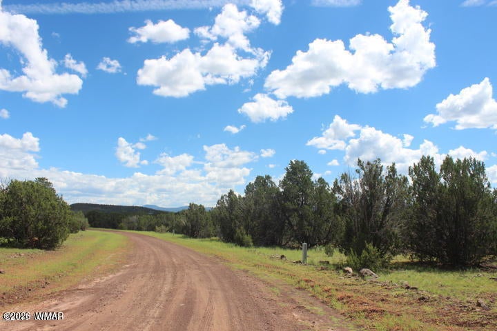 29 Co Road Show Low, AZ 85901 - Photo 18 of 23 Gallery Image 18
