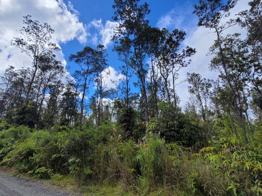 11-2998 Lot 19 Kaleponi Road Volcano, HI 96785 - Photo 8 of 16 Gallery Image 8