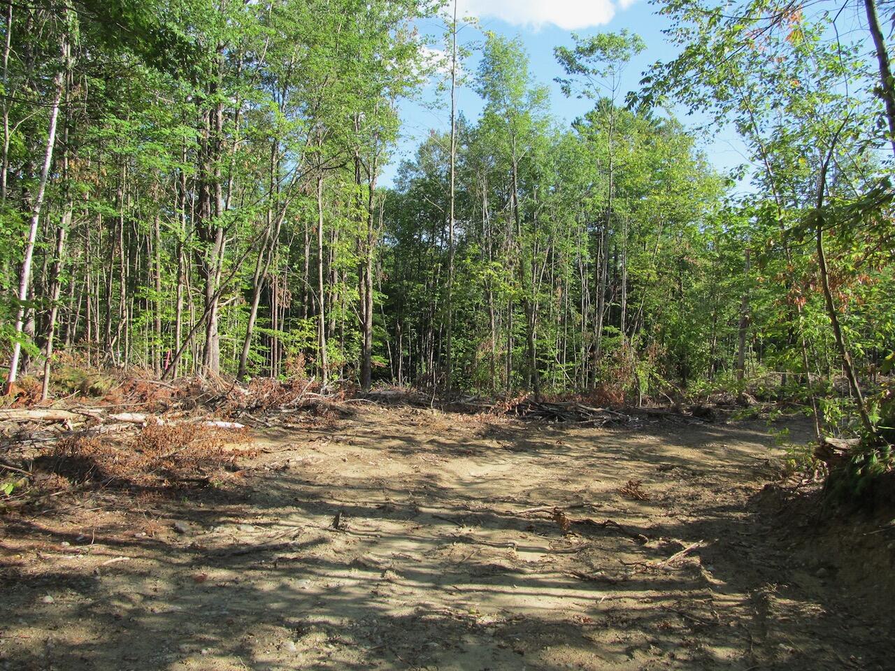 8 Norton Road Dixfield, ME 04224 - Photo 25 of 34 IMG_1469
